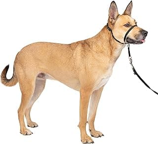 PetSafe Gentle Leader No-Pull Dog Headcollar - The Ultimate Solution to Pulling - Redirects Your Dog's Pulling for Easier Walks - Help...