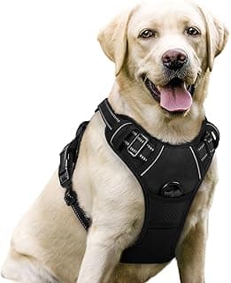 rabbitgoo Dog Harness No Pull with 2 Leash Clips, Adjustable Soft Padded, Reflective Oxford No Choke Pet Vest with Easy Control Handle for...